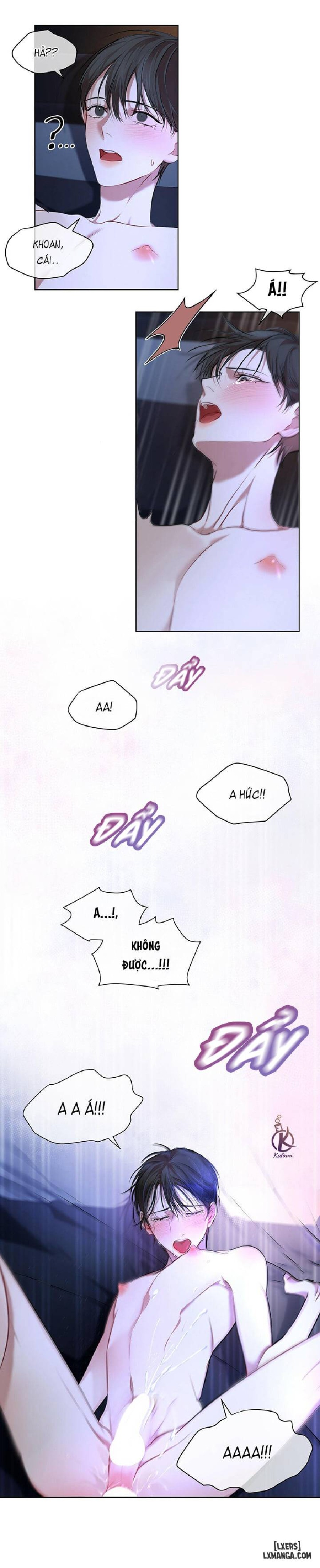 Hình thái khởi sinh 