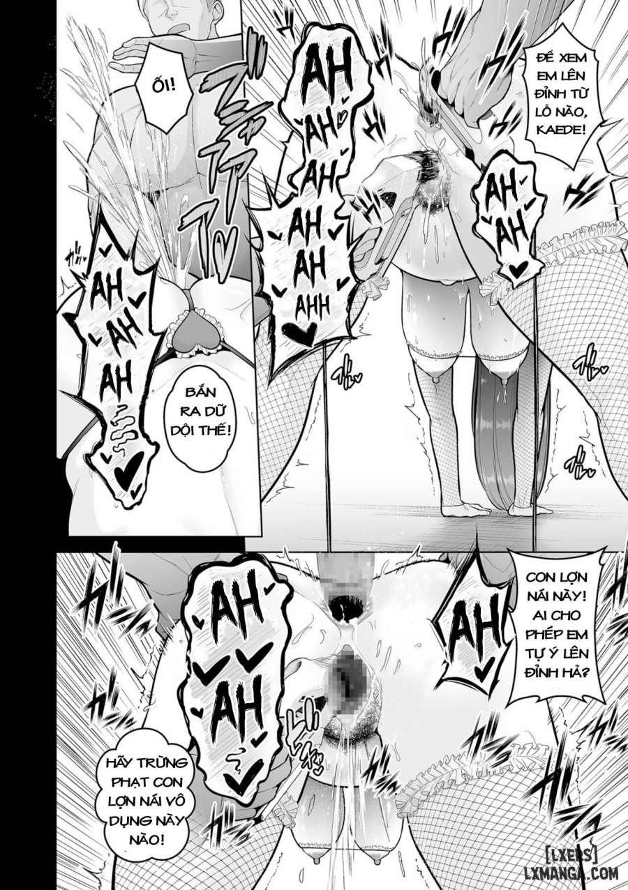Honshou 