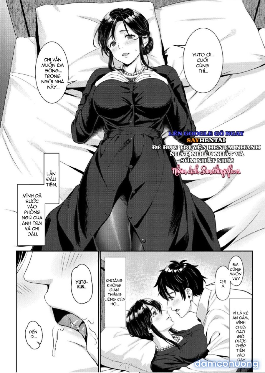 Nee-san, Nani Kite mo Niaimasu ne -Miboujin no Gishi to Ore no Midara na Hibi 