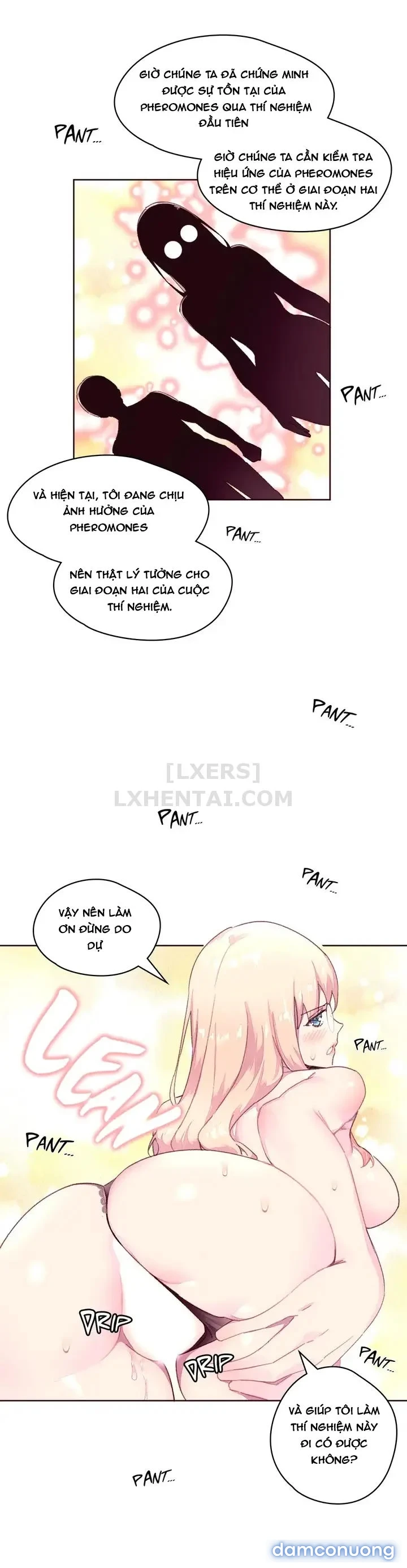 Chất Kích Dục 