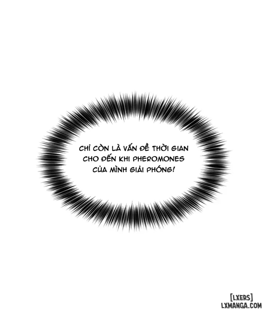 Chất Kích Dục 