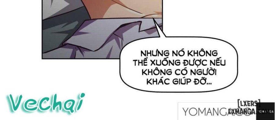 Phóng Thích Dục Vọng 