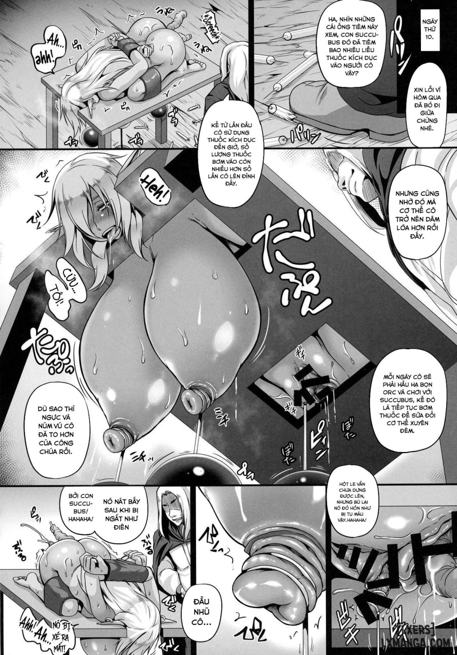 Reishuu no Dark Elf 