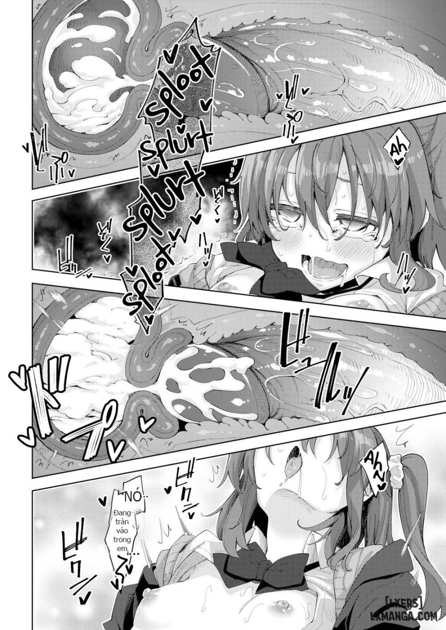 Kotapan 