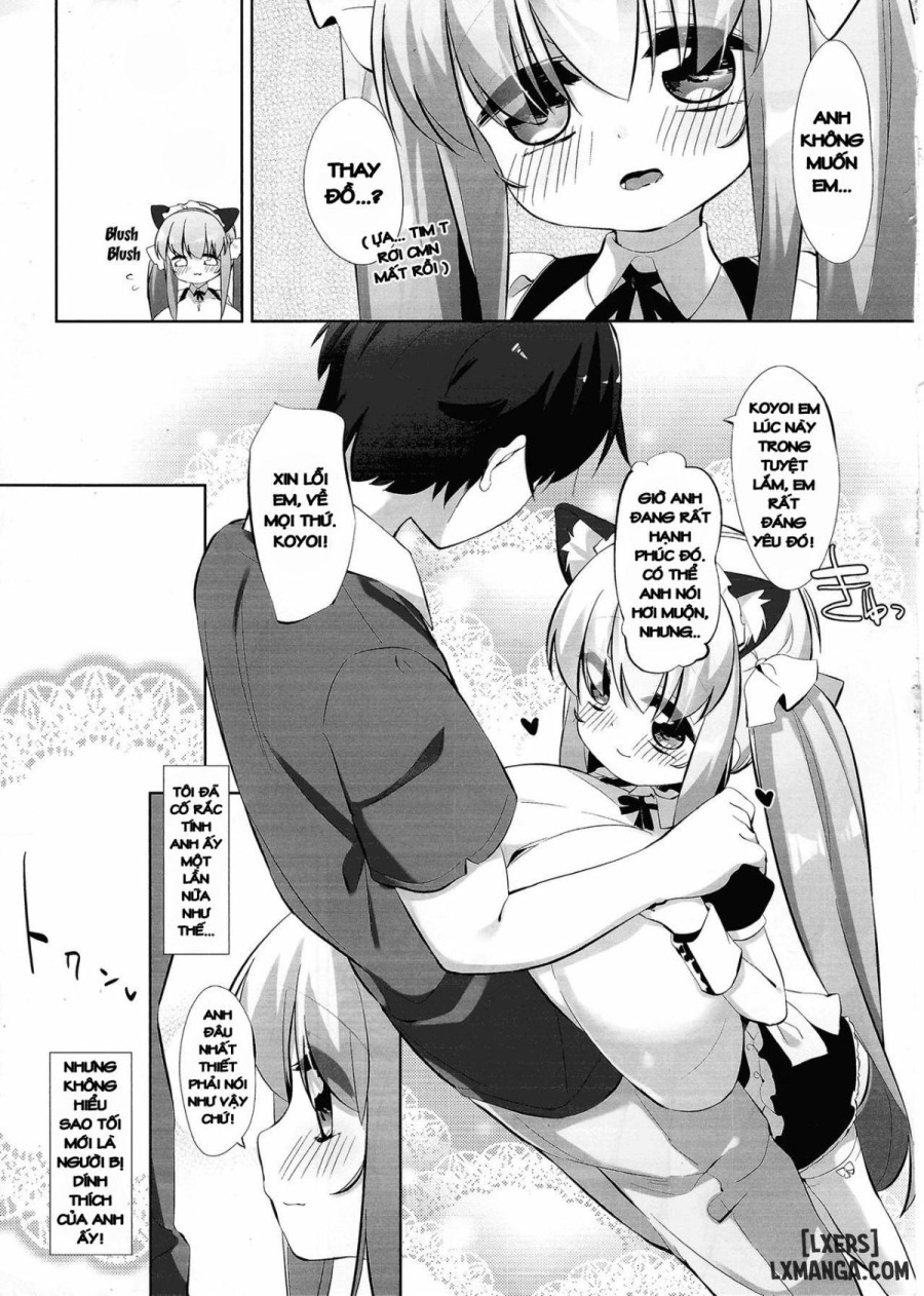 Koyoi no Nyanflood 