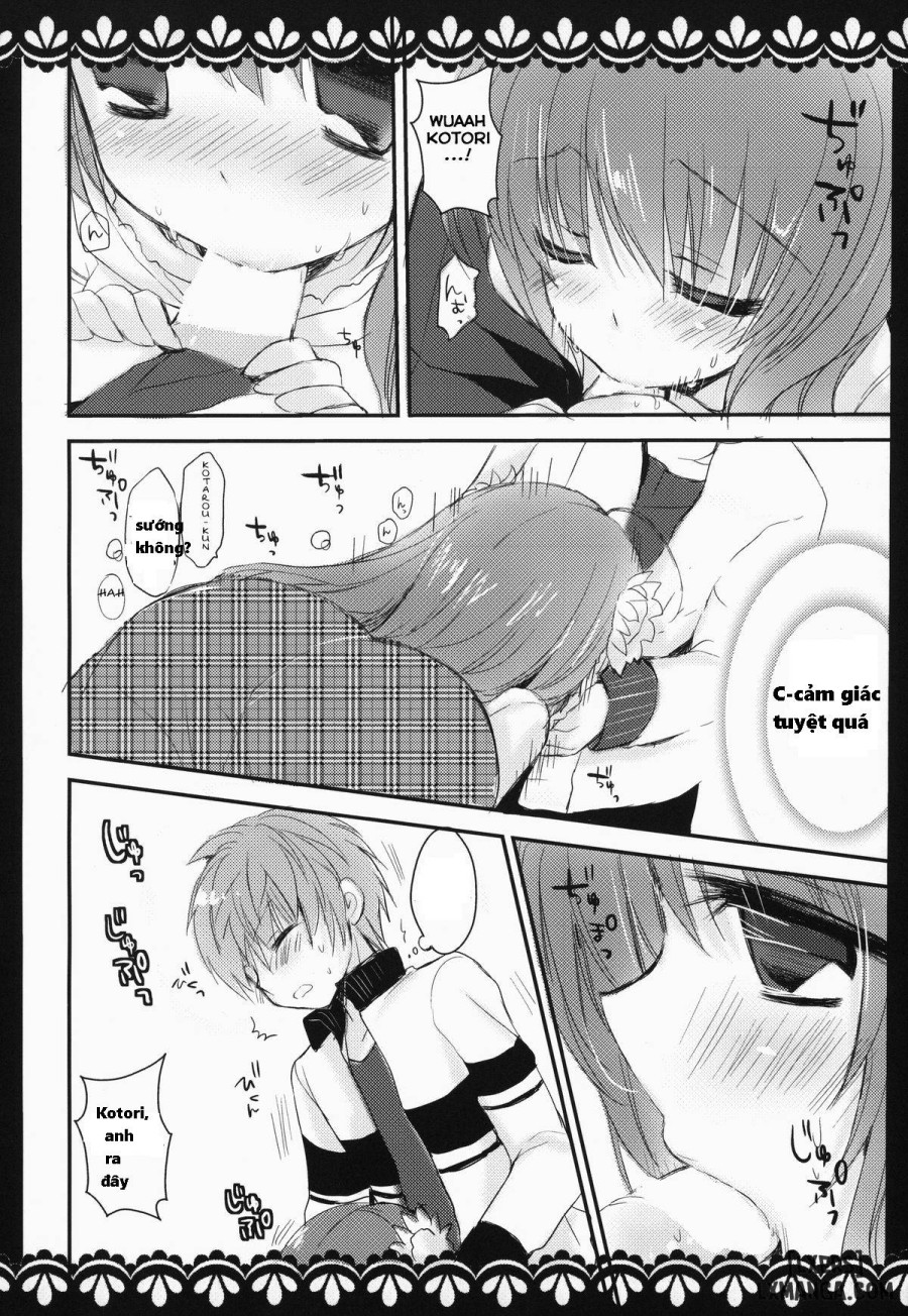 KOTORI 100% 
