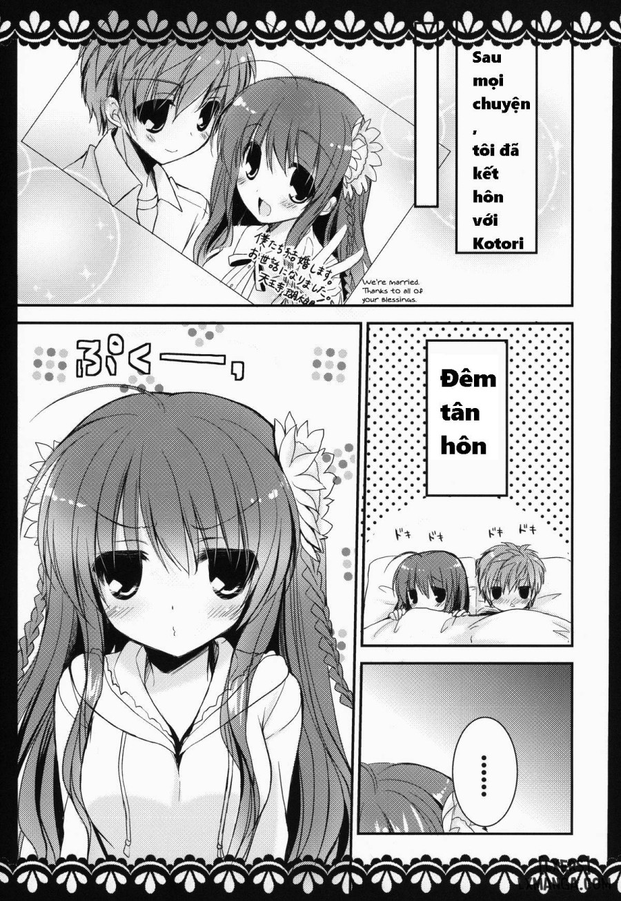 KOTORI 100% 