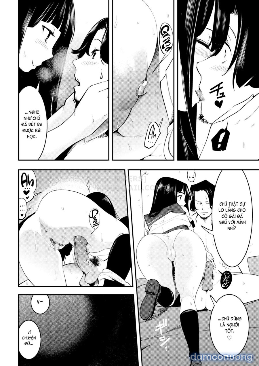 Hatsujou Rabbits 