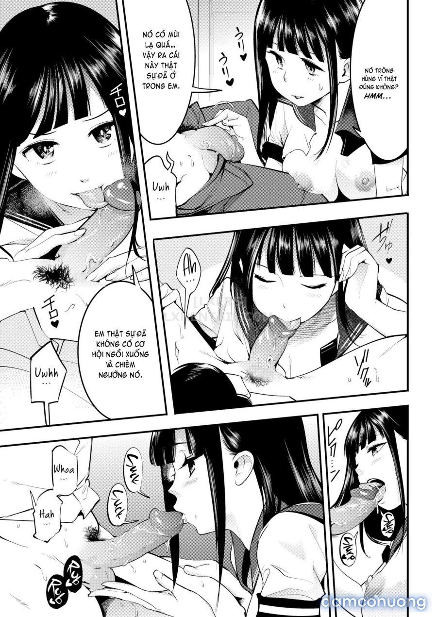 Hatsujou Rabbits 