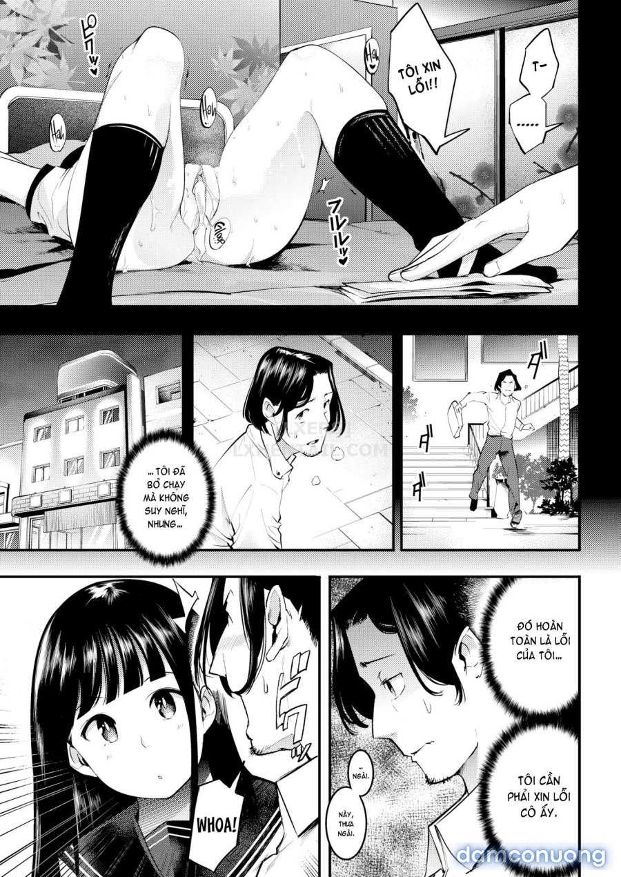 Hatsujou Rabbits 