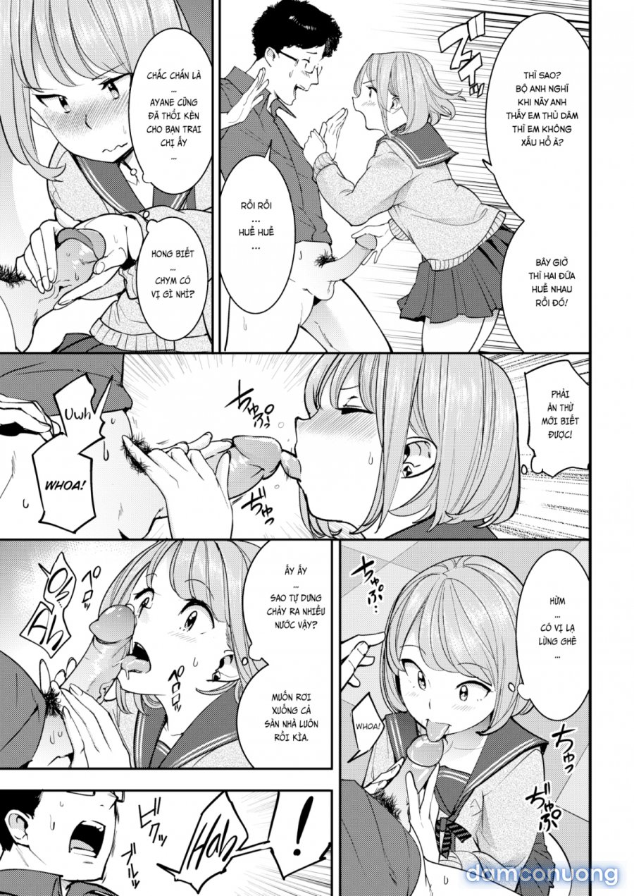 Hatsujou Rabbits 