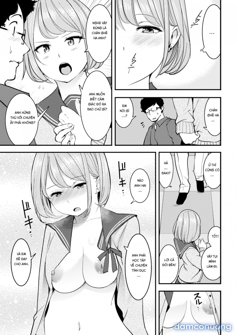 Hatsujou Rabbits 