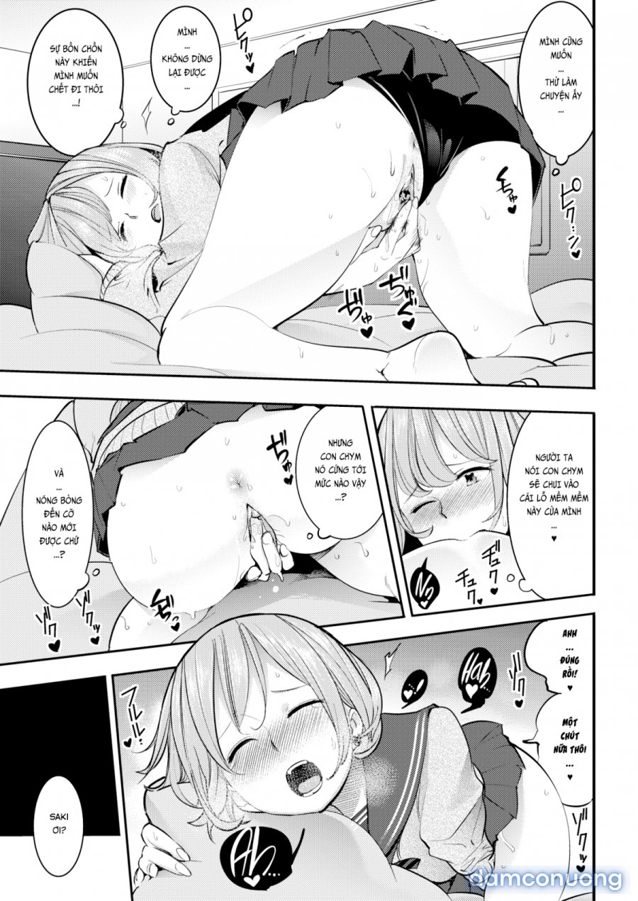 Hatsujou Rabbits 