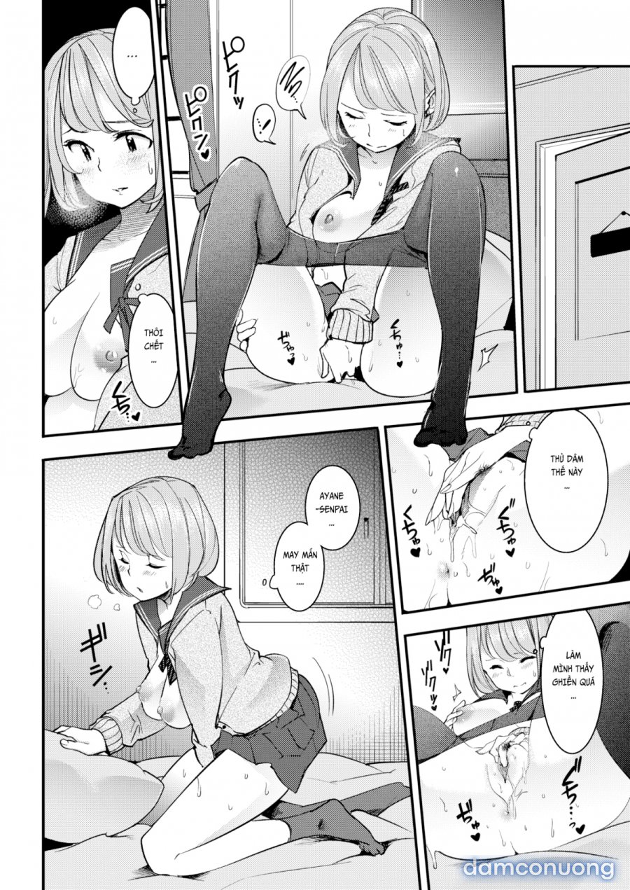 Hatsujou Rabbits 