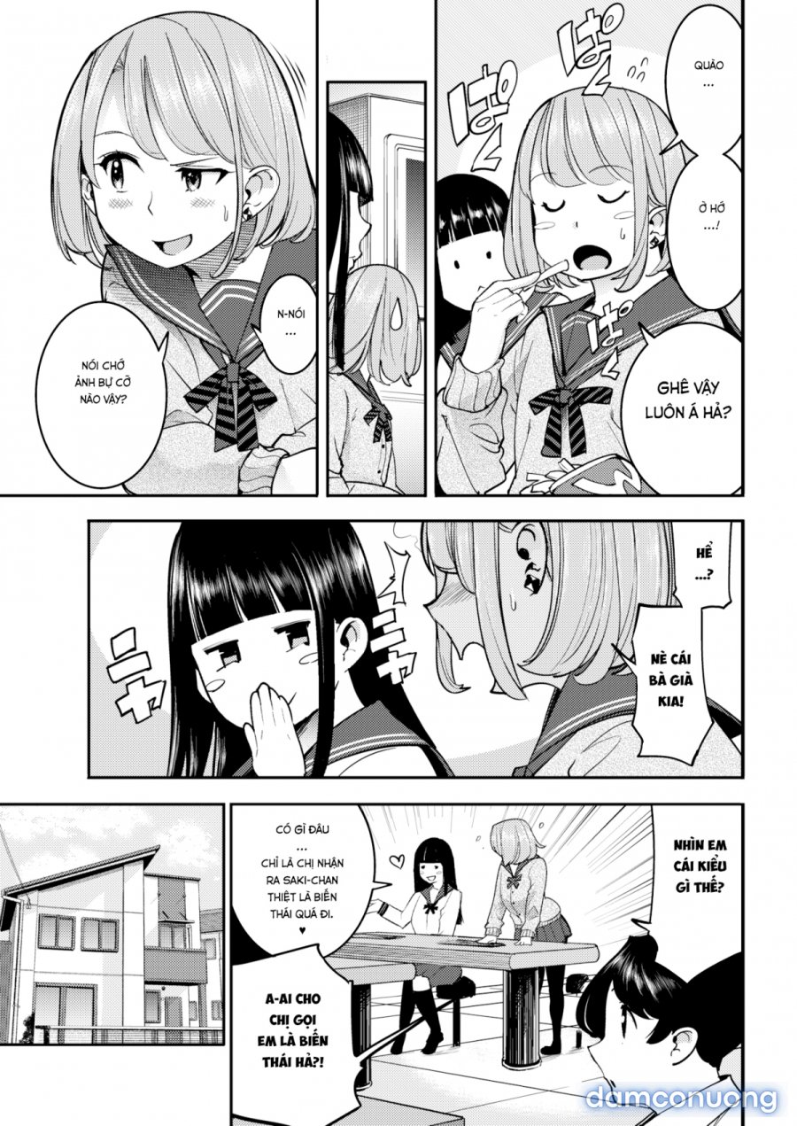 Hatsujou Rabbits 