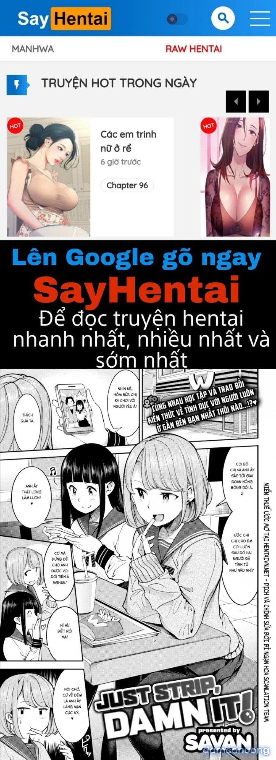 Hatsujou Rabbits 