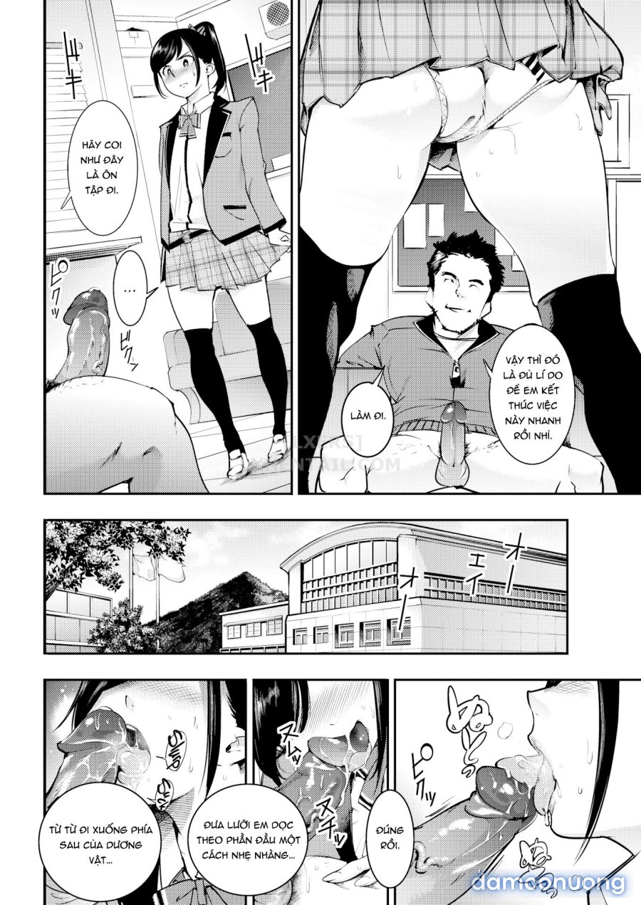 Hatsujou Rabbits 