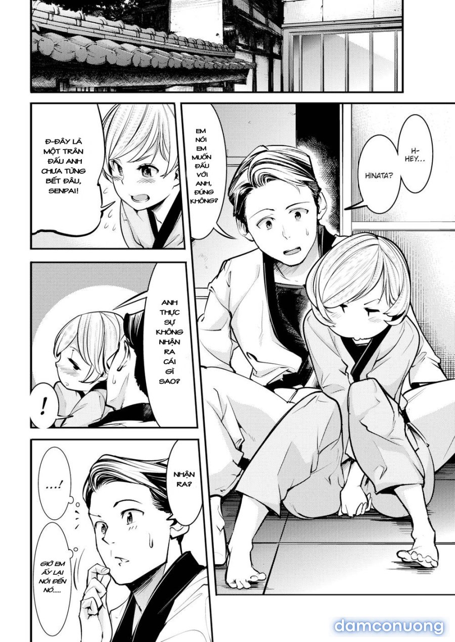 Hatsujou Rabbits 