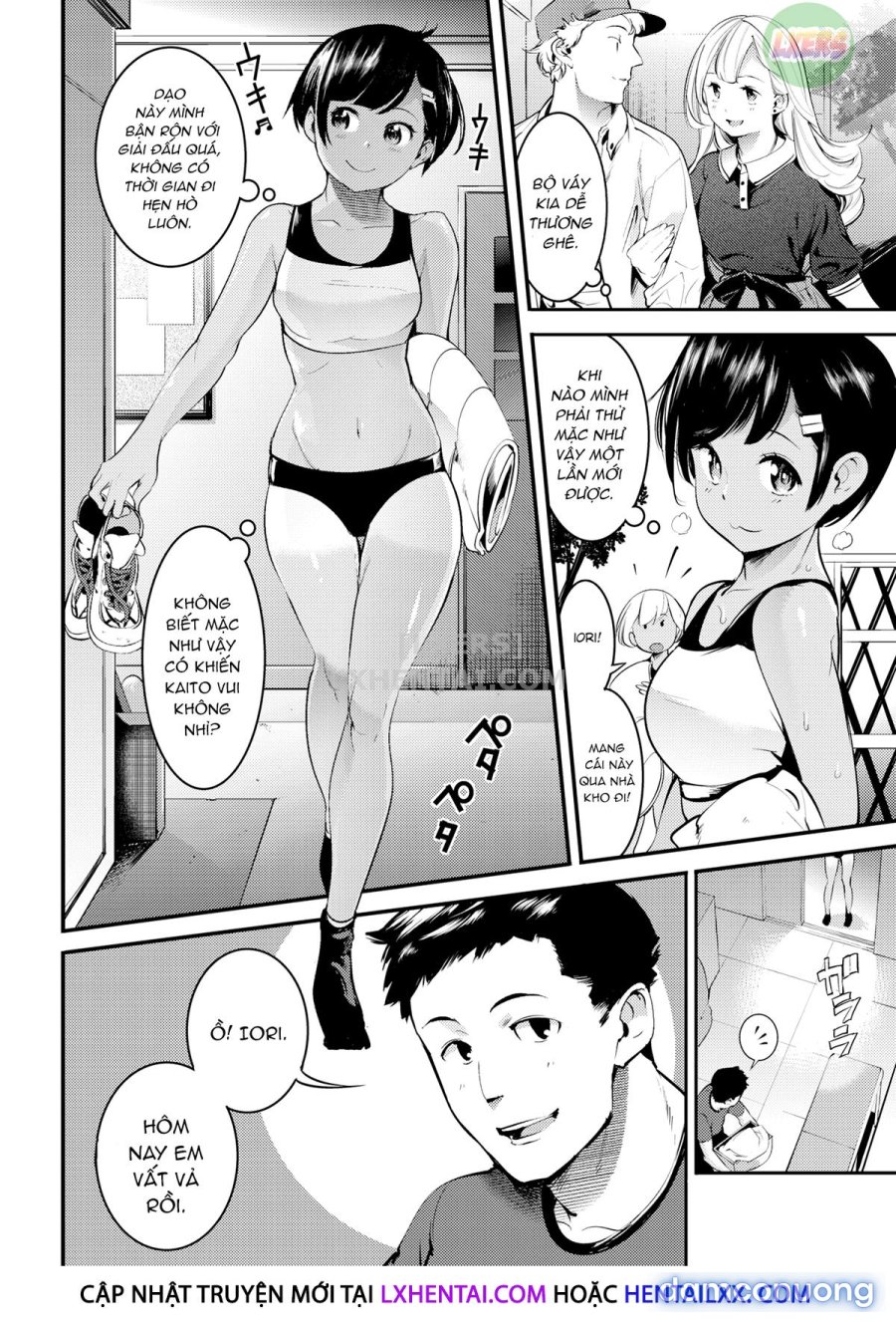 Hatsujou Rabbits 