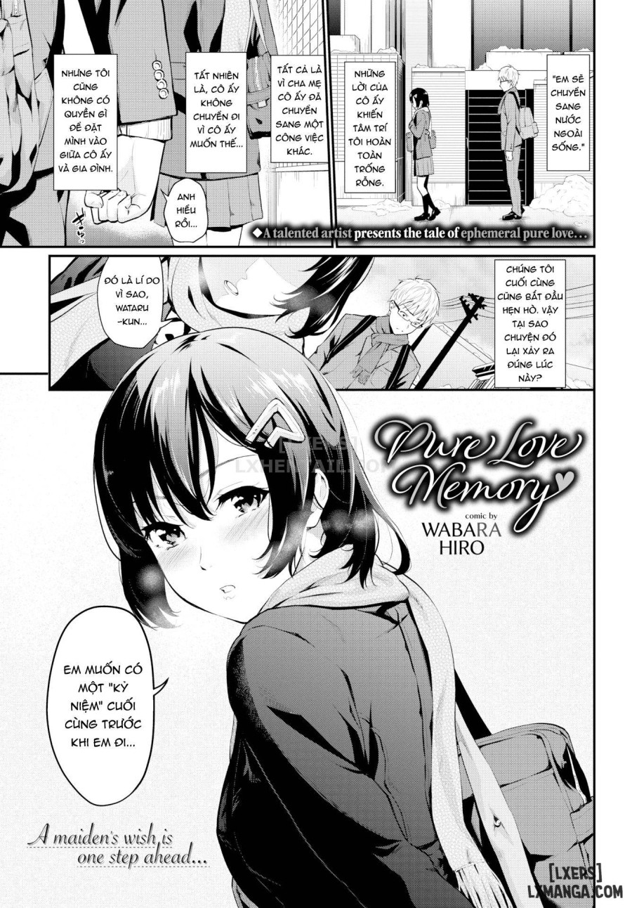 First Love Switch 
