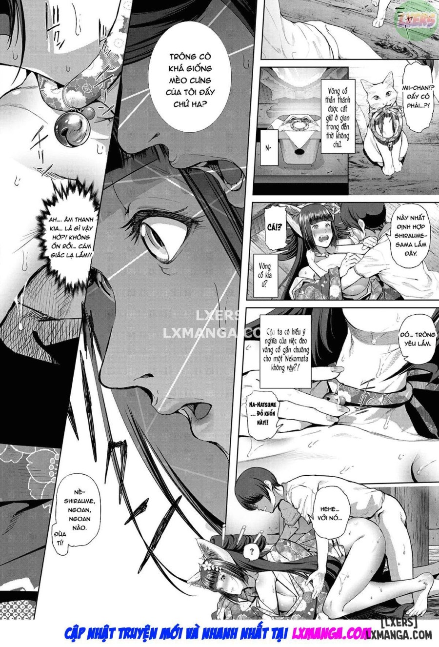 Boy Meets Cat Goddess 