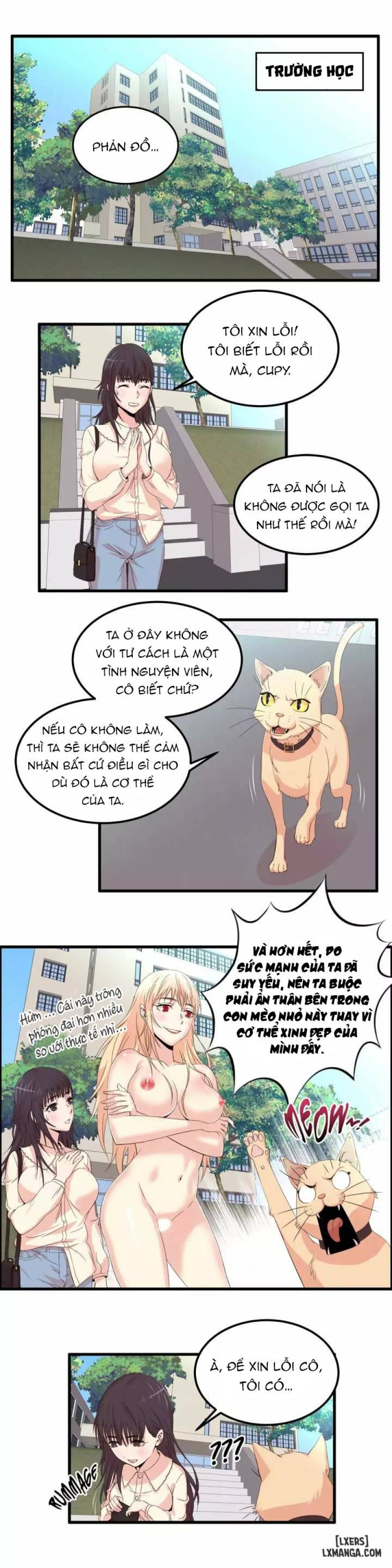 Chuyên Gia Tình Dục 
