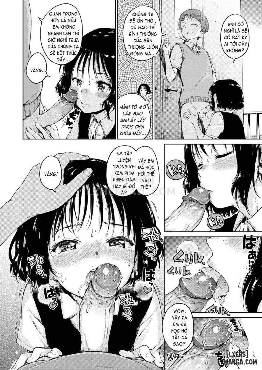 Chocolate 