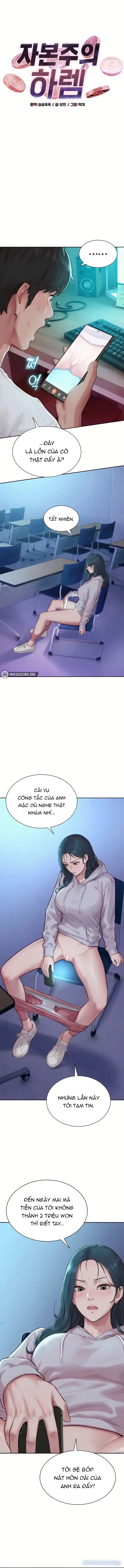 Hậu Cung Thời Tư Bản 