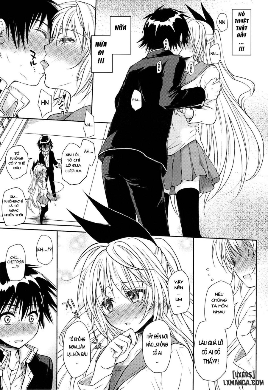 Urakoi 