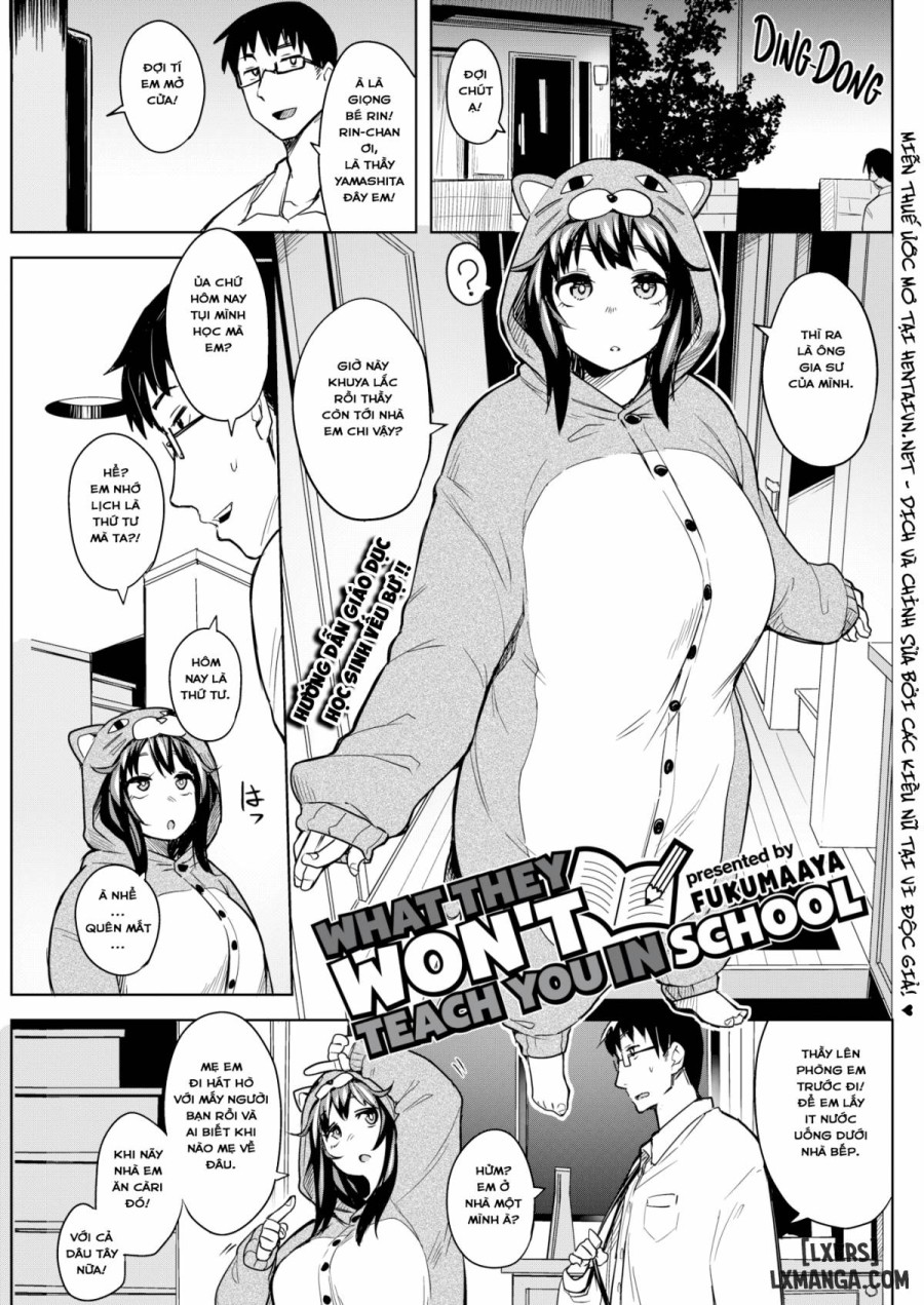 What They Don't Teach You in School 