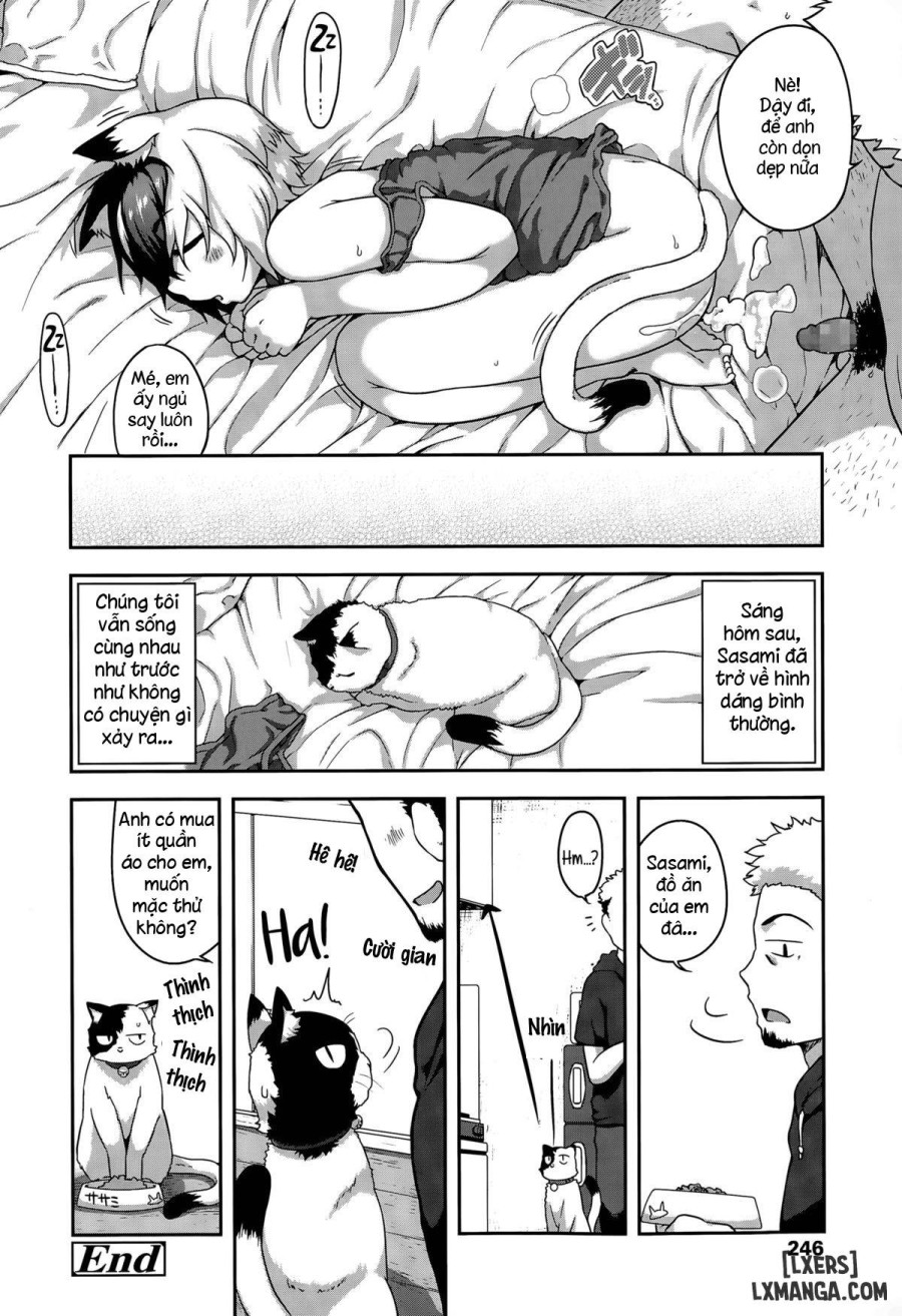 What's Tsun Pussycat 