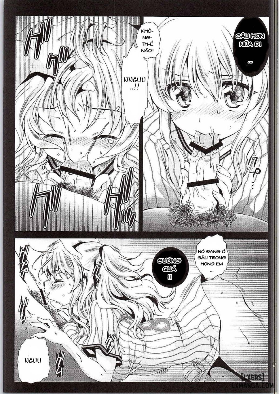 Tomori Uni 