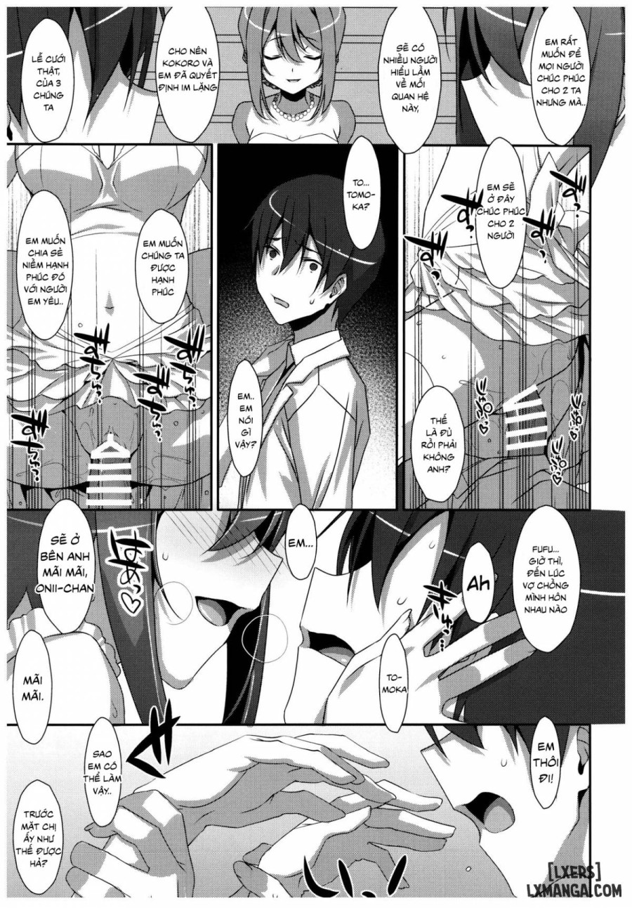 Watashi no, Onii-chan 
