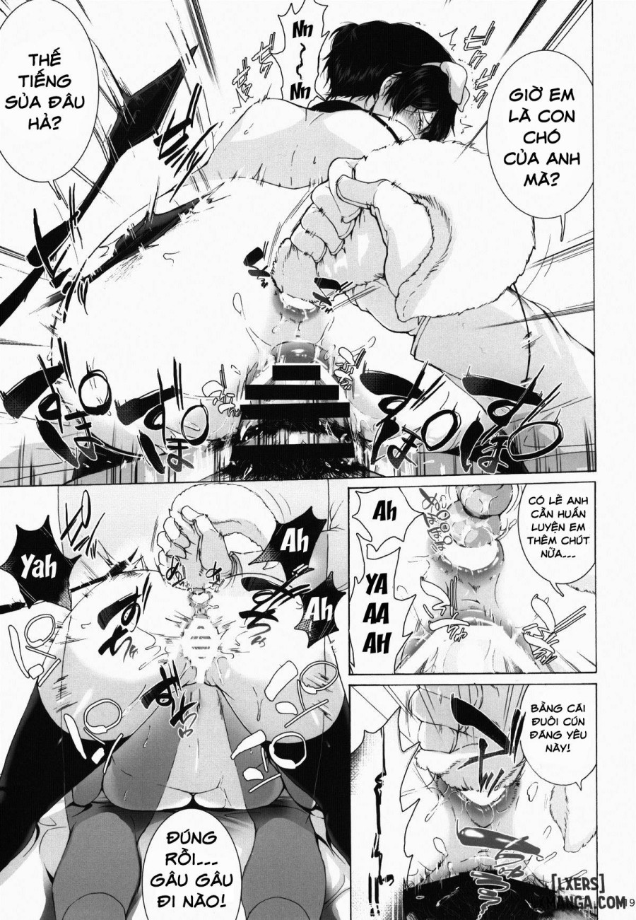 Watashi wa Inu Dewa Arimasen 