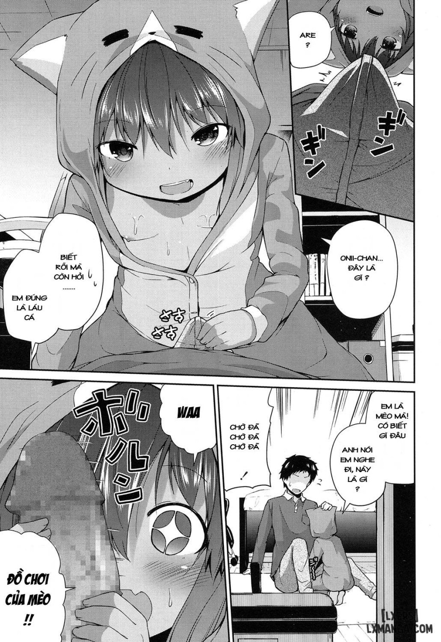 Wagaya no Neko Jijou 