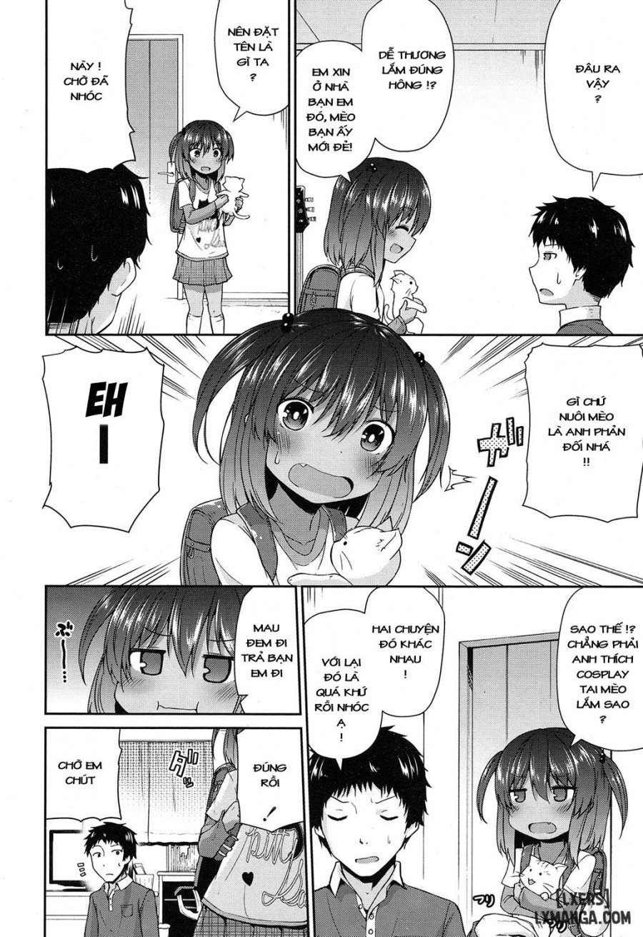 Wagaya no Neko Jijou 