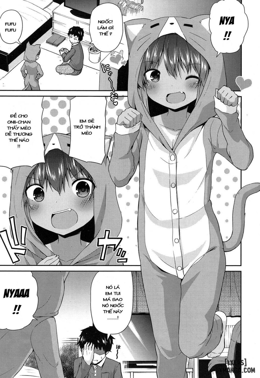 Wagaya no Neko Jijou 