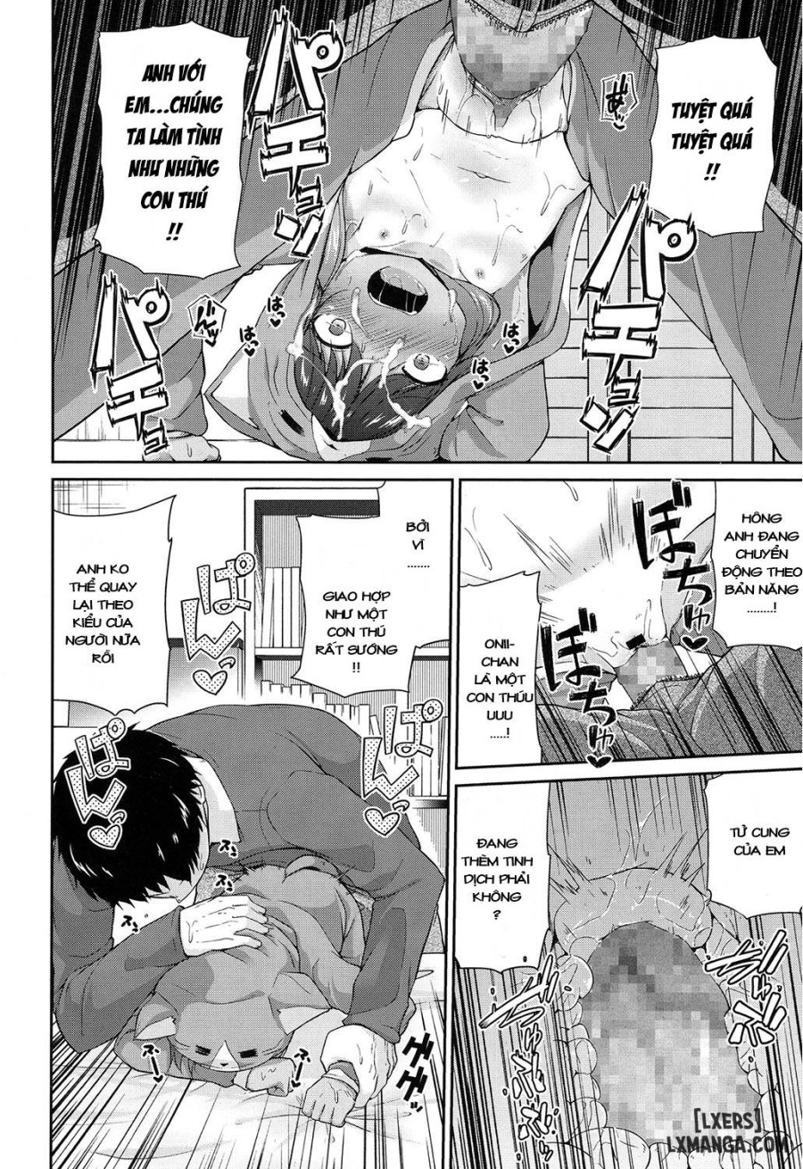 Wagaya no Neko Jijou 
