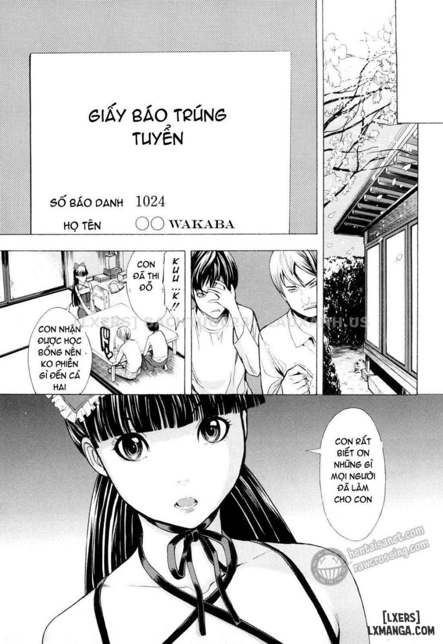 Wakaba 