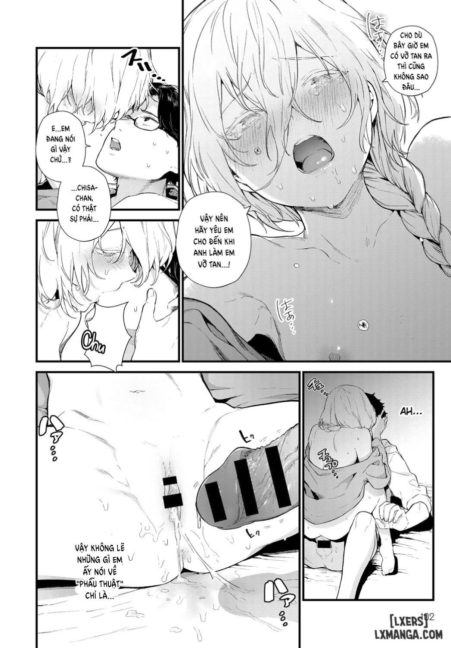 The Same Sights 