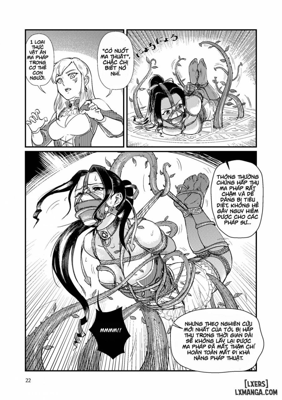 TRAP - Magic Knight's Crisis 