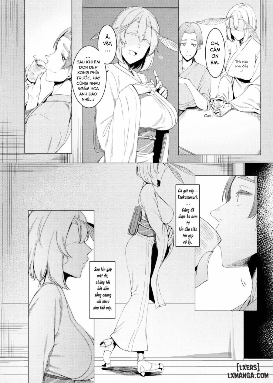 The Mountain Princess' Cocoon Once Again 