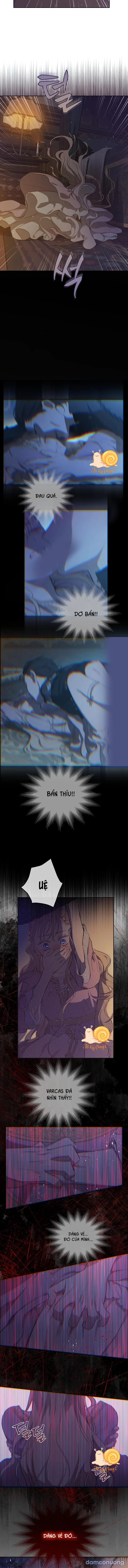 Cánh Đồng Bị Lãng Quên 