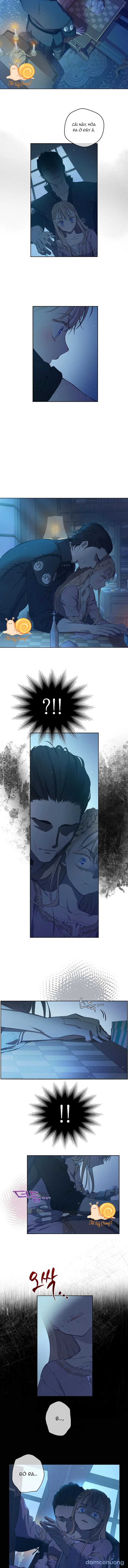 Cánh Đồng Bị Lãng Quên 