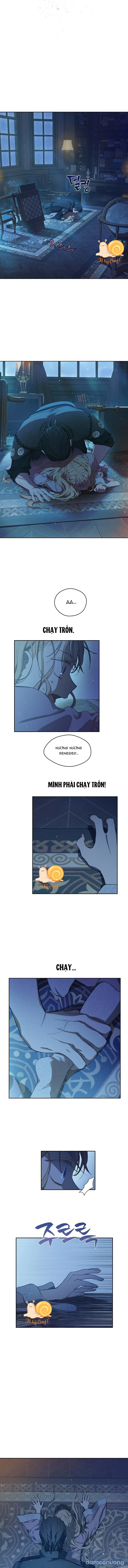 Cánh Đồng Bị Lãng Quên 