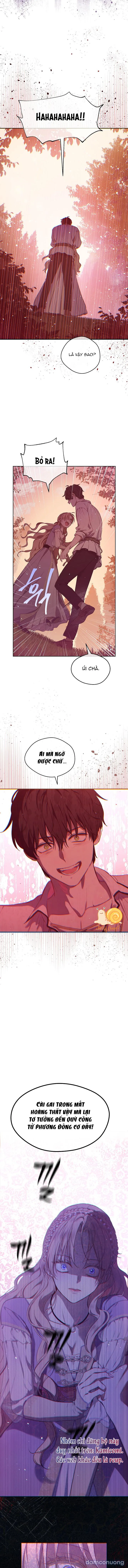 Cánh Đồng Bị Lãng Quên 