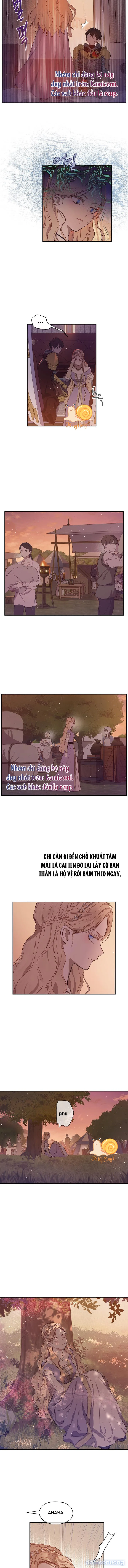 Cánh Đồng Bị Lãng Quên 