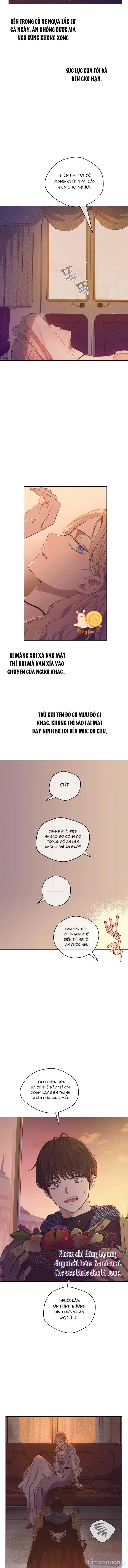Cánh Đồng Bị Lãng Quên 