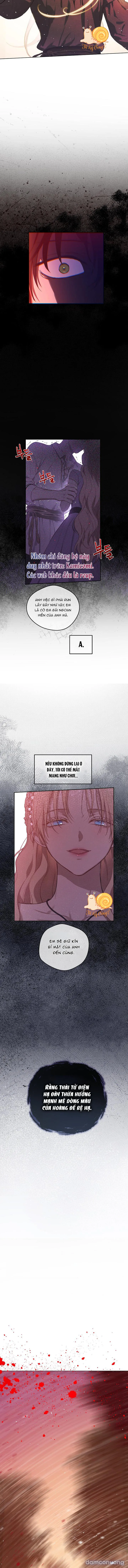 Cánh Đồng Bị Lãng Quên 
