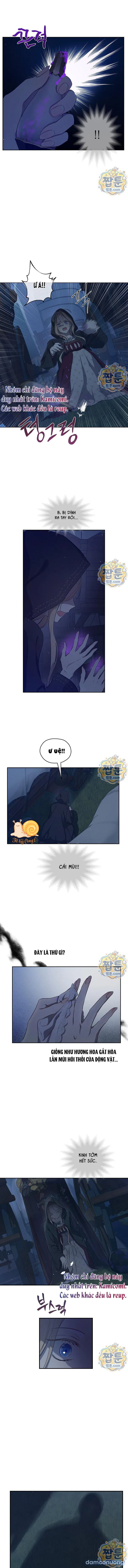 Cánh Đồng Bị Lãng Quên 